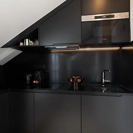 Nid Sous Les Toits, Proche Louvre * פריז