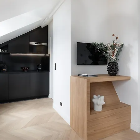 Nid Sous Les Toits, Proche Louvre פריז