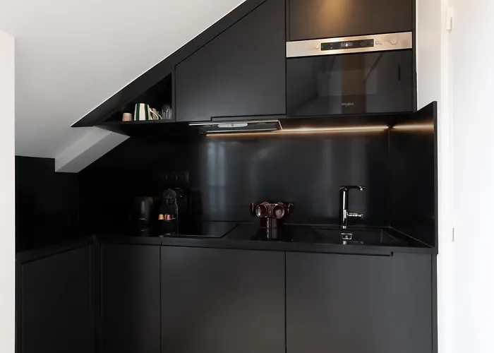 Nid Sous Les Toits, Proche Louvre * פריז